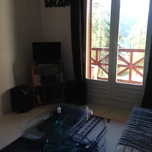 Studio Foux D'allos Ski Appartement